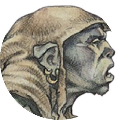 Orcish Veteran